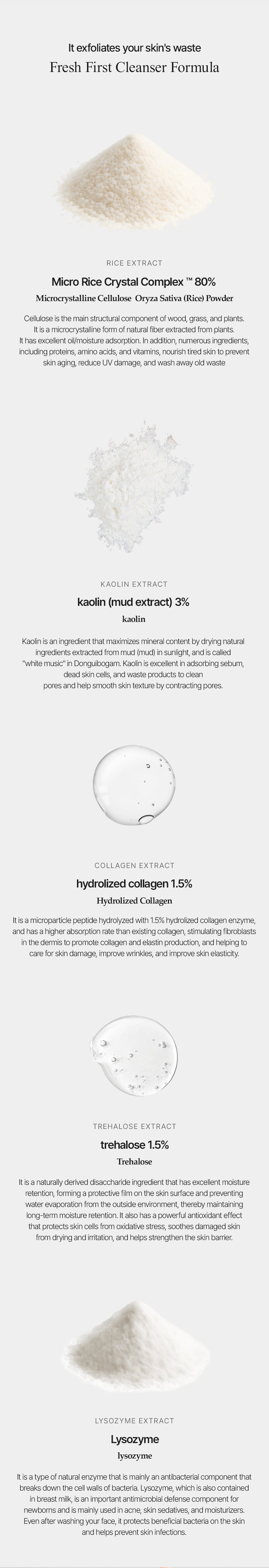 Dermagarden Enzyme Powder Cleanser